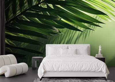 Abstract natural landscape showcasing shadows and green palm leaves with copy space image Wall mural