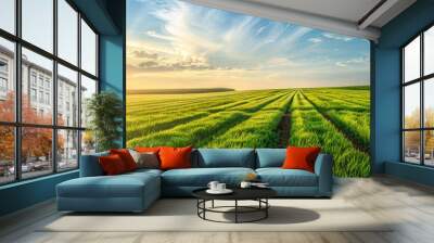 Agricultural background with field of freshly cut alfalfa and leading lines leading to copy space in sky. Copy space image. Place for adding text or design Wall mural