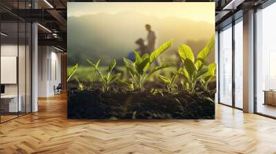 Agriculture Farmer are working in young green corn growing on the field at sun rises in the morning Growing young green corn seedling sprouts in cultivated agricultural farm field. Copy space image Wall mural