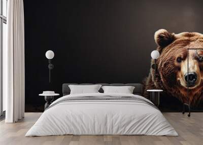 Bear with brown fur Copy space image Place for adding text or design Wall mural