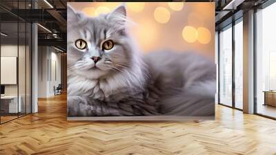 close up portrait of a stunning grey white longhair cat captured at home with the enchanting christm Wall mural