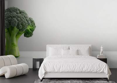 cooked broccoli. Copy space image. Place for adding text and design Wall mural