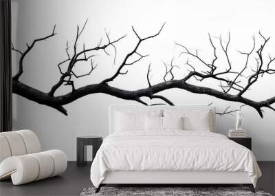 Dead tree branch isolated on white background with clipping path for copy space image. Wall mural