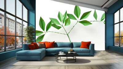 Decorative origami flower paper plants for a stylish setting with copy space image. Wall mural