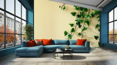 green beautiful plant for home decoration. Copy space image. Place for adding text and design Wall mural