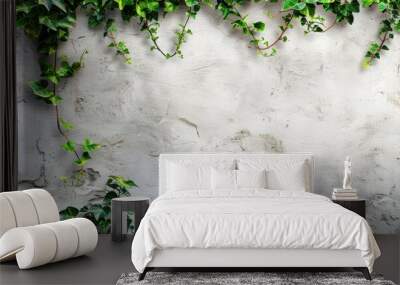 Green ivy leaves on a white garden wall with copy space image for a textured backdrop in a vertical garden setting Wall mural