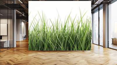 Green tall grass cut out displaying detailed blades and natural texture on a white background with clipping paths showcasing nature s beauty in a copy space image Wall mural