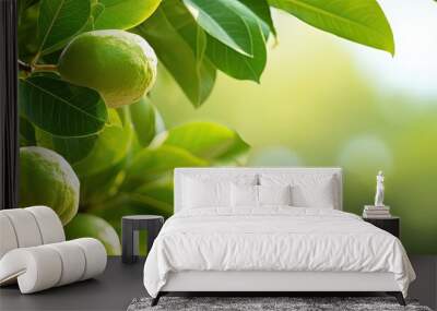 guava tree plant with its dense leaves against a natural background. Copy space image. Place for adding text and design Wall mural