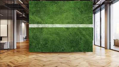 horizontal white line marking on a green grass sports field suitable for soccer football or other types of sports. Copy space image. Place for adding text and design Wall mural