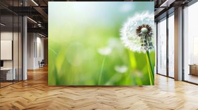 Macro image of delicate dandelion seed head with intricate white seedings in green grass creating a beautiful composition with copy space image Wall mural