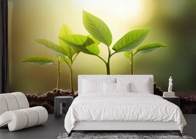 plant young trees or seedlings in fertile soil with soft sunlight featuring blurred green background Wall mural