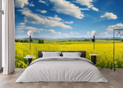 Scenic sunset over a picturesque rapeseed field, ideal as a vibrant yellow nature backdrop representing both agriculture and industry. Copy space image. Wall mural