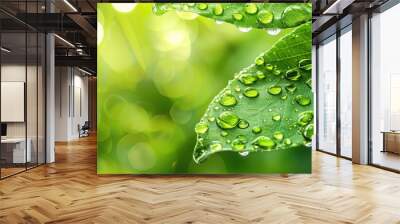 Silhouettes of dew on a leaf with a green background create a serene copy space image. Wall mural