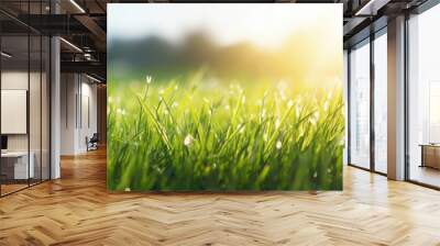 Sunlit grass field close-up with morning freshness Wall mural