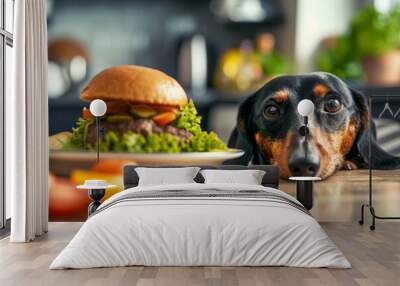 A dachshund eyes a juicy burger on the table, the image of temptation and restraint, highlighting the playful yet longing nature of pets around human food Wall mural