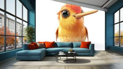 Cute cartoon hummingbird art with big eyes Wall mural