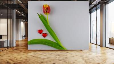 Spring flowers tulips as a symbol of romantic love. Wall mural