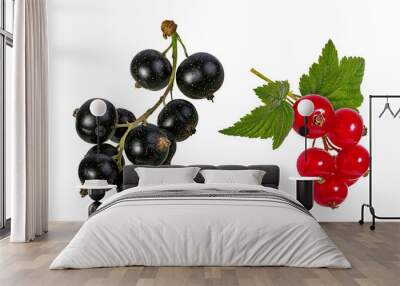 Currant isolated on white background Wall mural