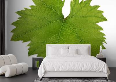 grape leaf isolated on white background Wall mural