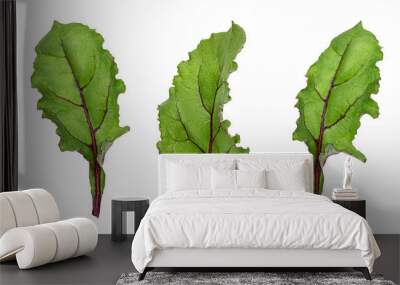 leaf of beetroot on white Wall mural