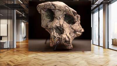 Sahelanthropus tchadensis is an extinct species of the hominid dated to about 7 million years ago Wall mural