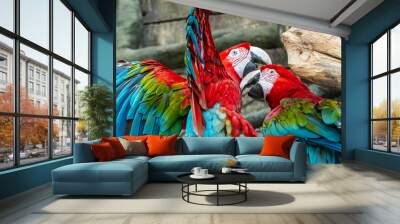 two macaw parrots two parrots on a branch Wall mural