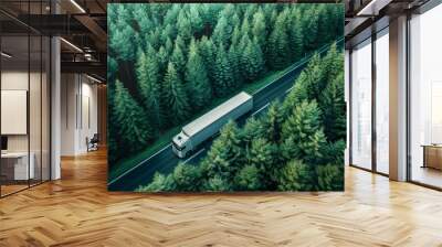 Aerial drone view of car and truck driving on road in a picturesque lush green forest environment Wall mural