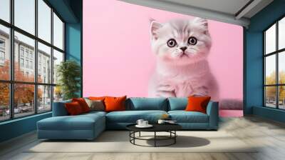 Charming studio portrait of a cute and playful cat against an isolated solid color background Wall mural