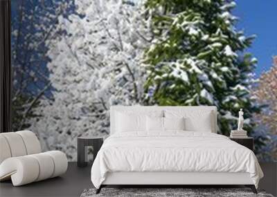 Contrast of winter snowy tree and summer green tree, environmental change and global warming concept Wall mural