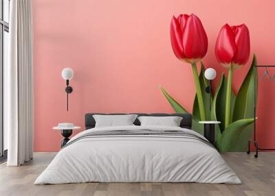 elegant red tulips on right side with pink isolated background and ample two thirds text space Wall mural