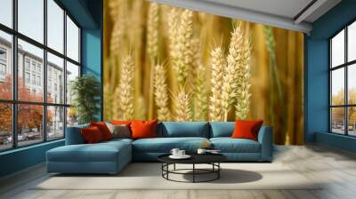 Golden grain Wall mural