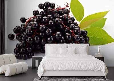 High resolution image of ripe elderberry berries on white background for premium quality visuals Wall mural