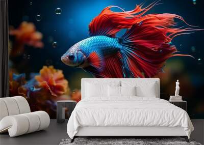 Vibrant betta fish portrait with dazzling bokeh background, ideal for underwater macro photography. Wall mural