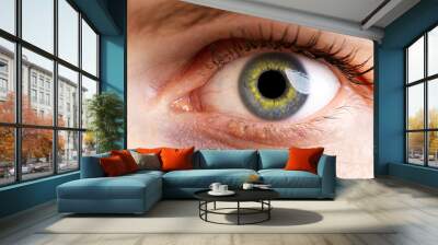 woman macro eye. macro photography of human eye Wall mural