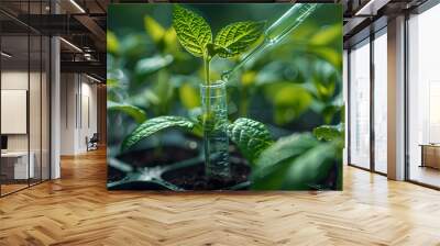 plant science laboratory research, biological chemistry test, green nature organic leaf experiment in test tube, scientist working in chemical medicine biotechnology or medical ecology lab technology Wall mural