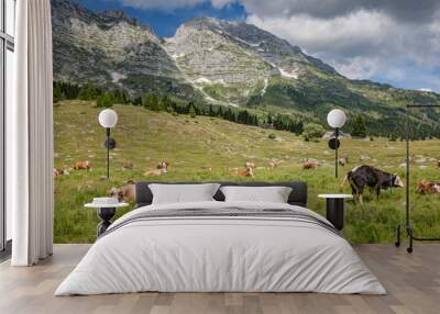 Beautiful nature. Grazing cows with an amazing view of mountain hiking trail road. Italy Malga Montasio Forca Disteis Wall mural