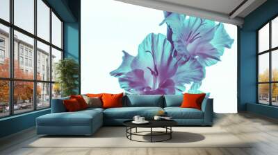 transparent flowers gladiolus, neon colors, white background. isolated Wall mural