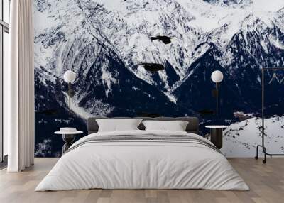 crows over a ski resort. drama sky. high resolution photo. Wall mural