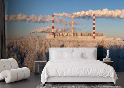 Smoke from the pipes of thermal power plants on the background of pure winter nature Wall mural