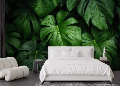 Green leaf tropical. Top view of wet tropical green leaves background. Nature background. Wallpaper Wall mural