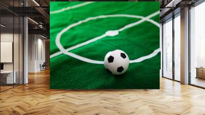 German flag and soccer ball on green grass field Wall mural