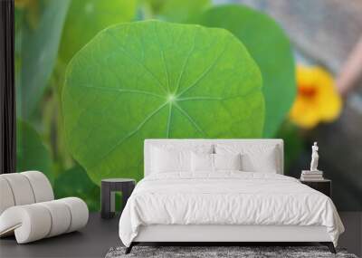 green leaf Wall mural