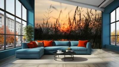 summer grass on a background of juicy orange sunset. Wall mural