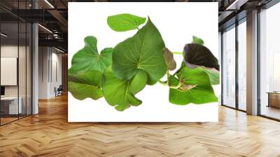 sweet potato leaves on isolated white background Wall mural