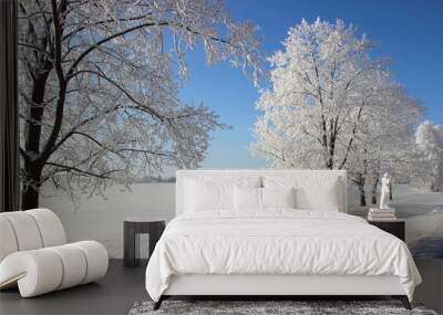 Beautiful European natural landscape with white frosty trees in snow on suburban road side at Sunny winter day on field and clear blue sky background Wall mural