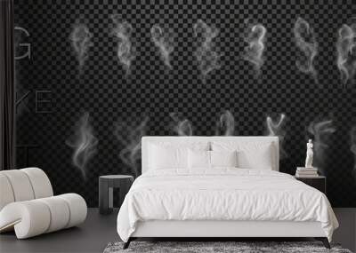 Big smoke vector set collection isolated on transparent background. Realistic white grey steam waves from tea, fire, cigarettes. Decorative vapor air nature effect. Vector illustration. EPS 10. Wall mural