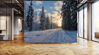 winter forest at sunny day Wall mural