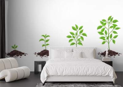 Growth stages diagram. Sprout seedling shoot germination in the pile dirt soil. Development stage. Animation progression. Vector infographic. Business cycle development. Wall mural