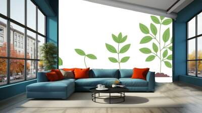 Plant growth stages. Planting tree. Vector editable infographic illustration. Wall mural