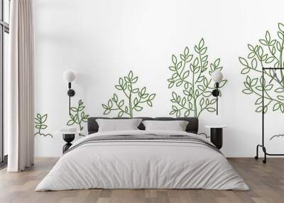 trees, growth stages sketch. animation progress. plant development. hand drawn vector line. Wall mural